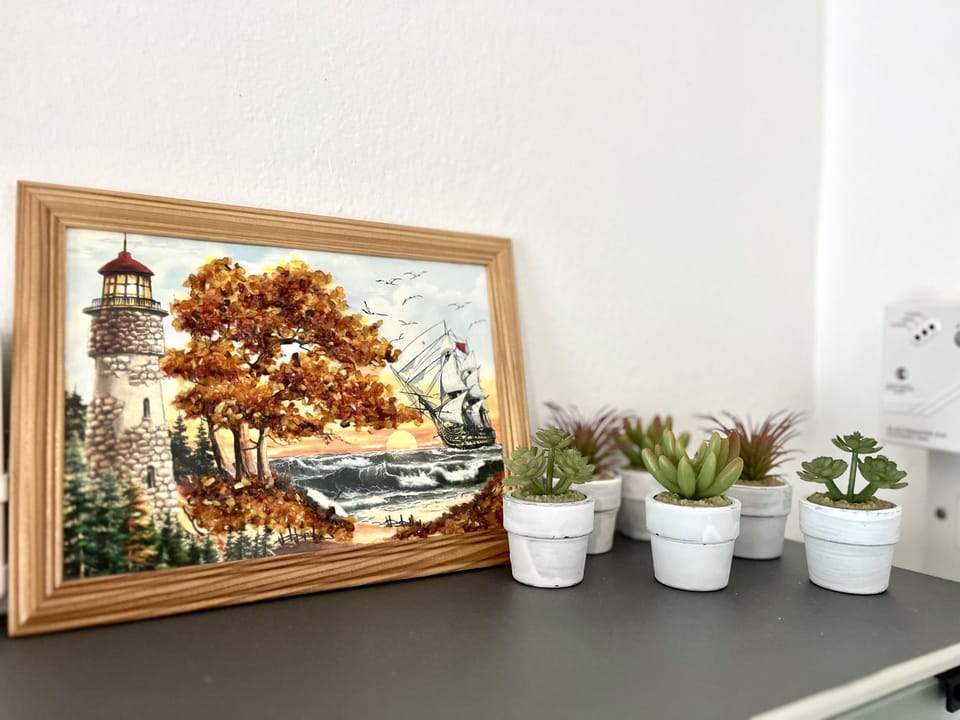 House | 1 bedroom
