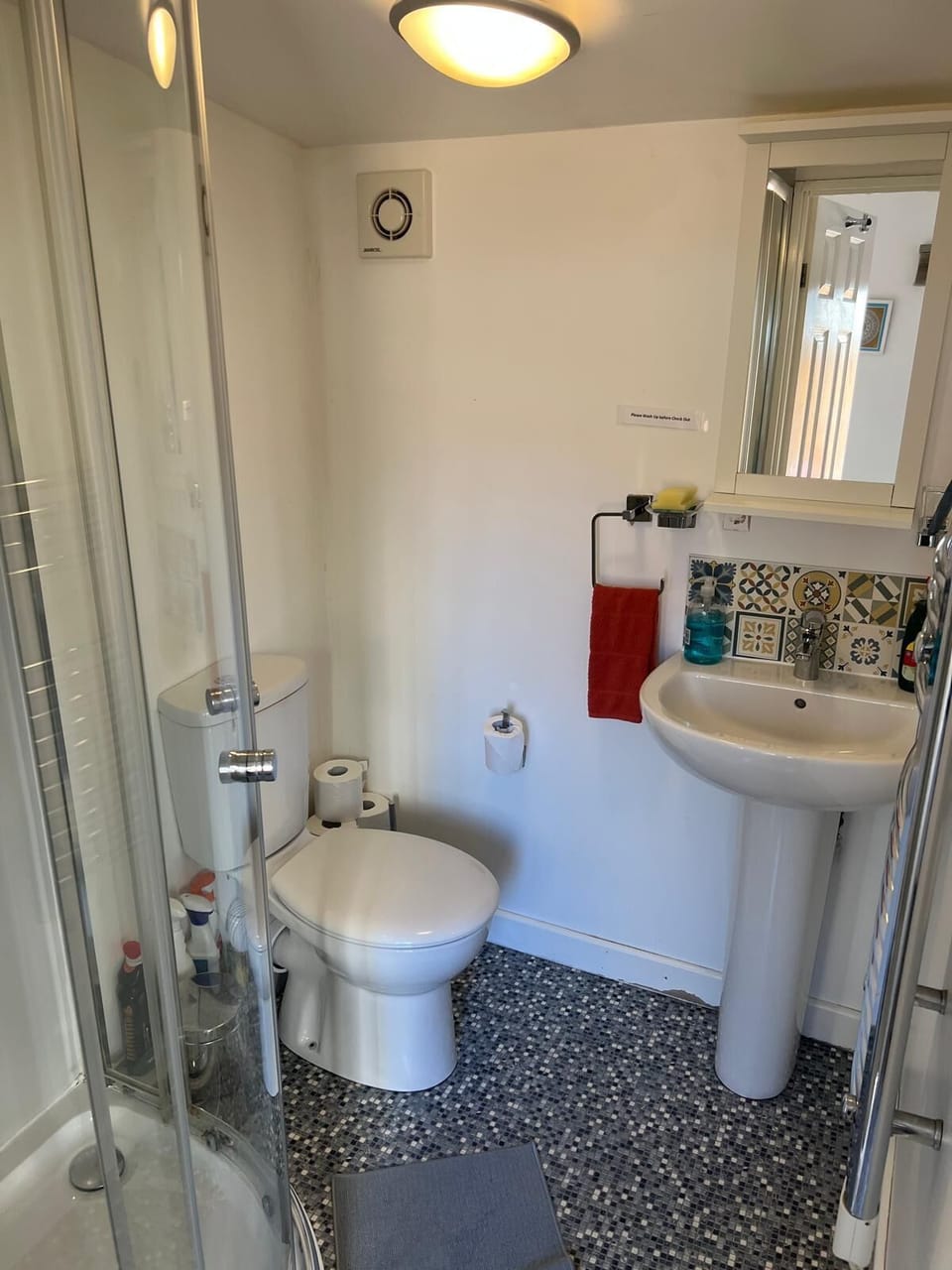 Shower room, toilet, sink