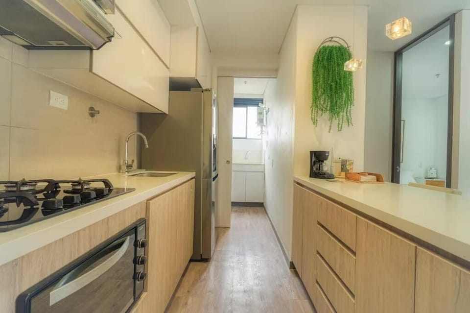 Apartment, Balcony, City View | Private kitchen