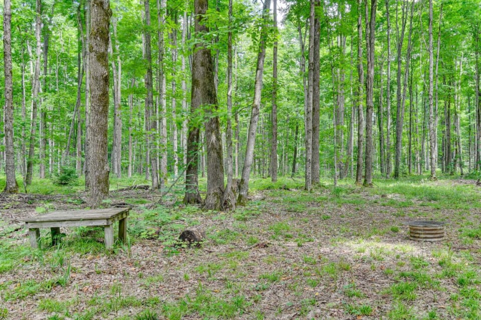 Seating Area | Wooden Bench | Forest Setting & Fire Ring