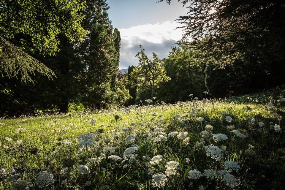 The estate's private parkland in the summer 