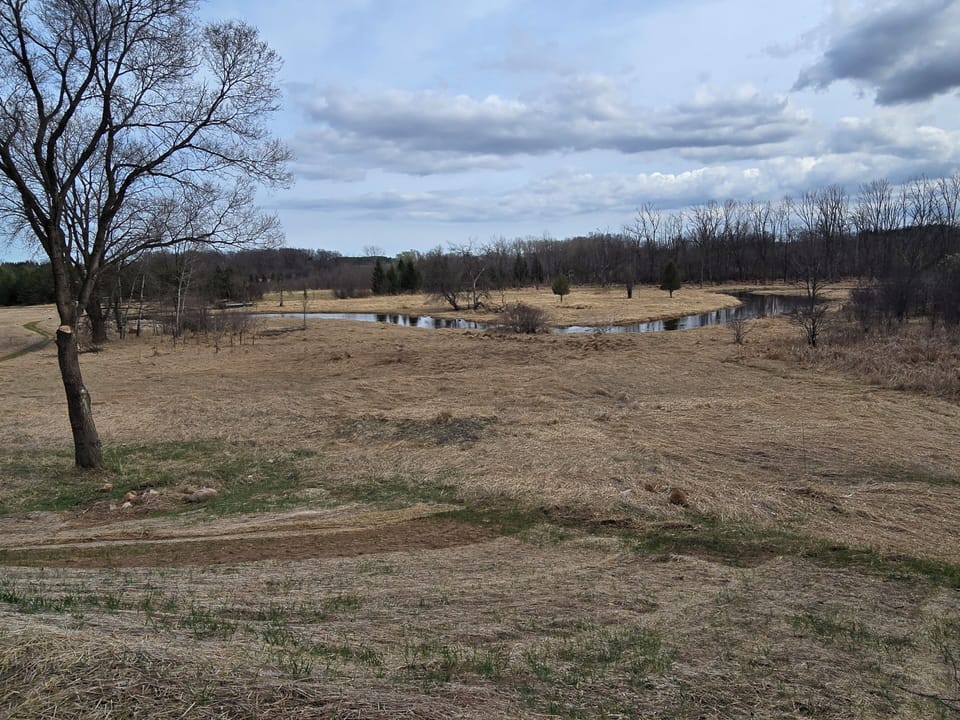 Scenic overlook of the Mullet River from back yard patio