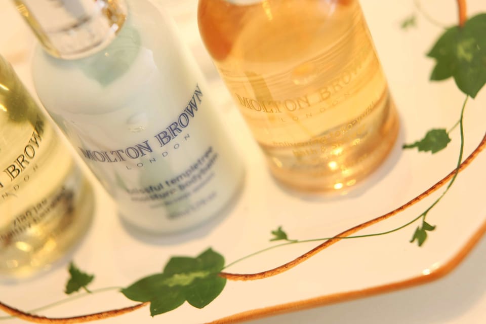 Shower, eco-friendly toiletries, hair dryer, bathrobes