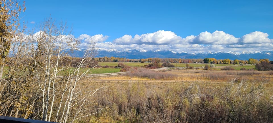 View from property