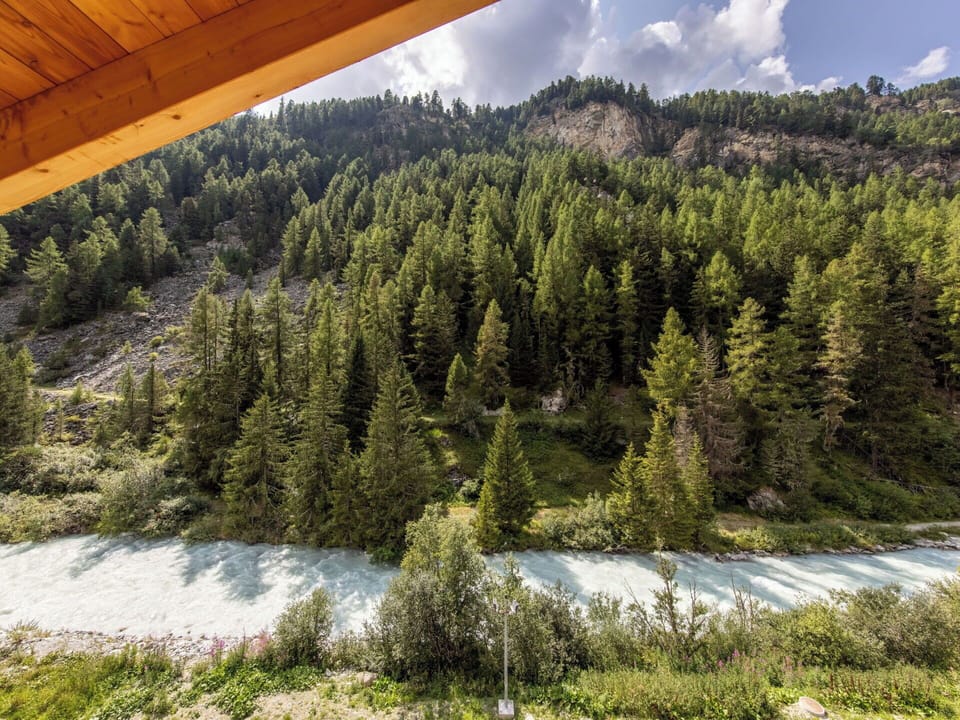 Tree, Mountainous Landforms, Mountain, Forest, Wilderness, Highland, Hill, Larch, Hill Station