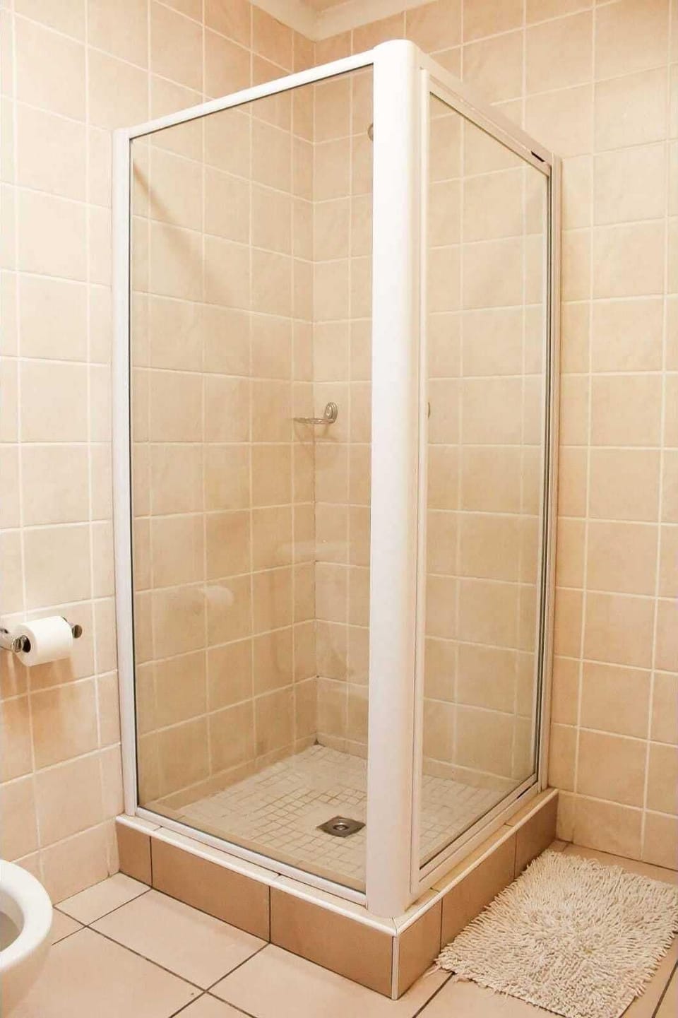 Shower, towels, soap, toilet paper
