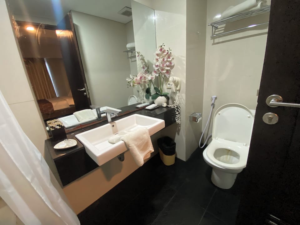 Deluxe Twin Room | Bathroom