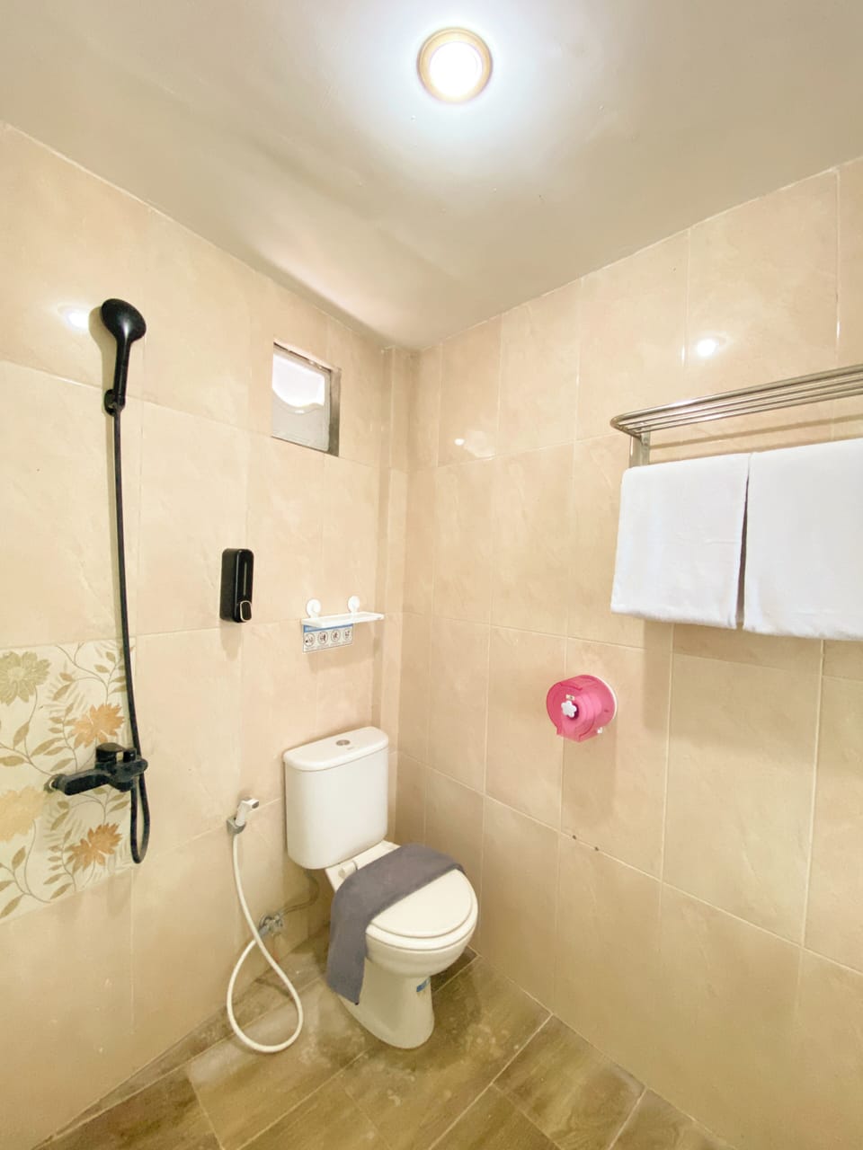 Shower, free toiletries, towels, soap