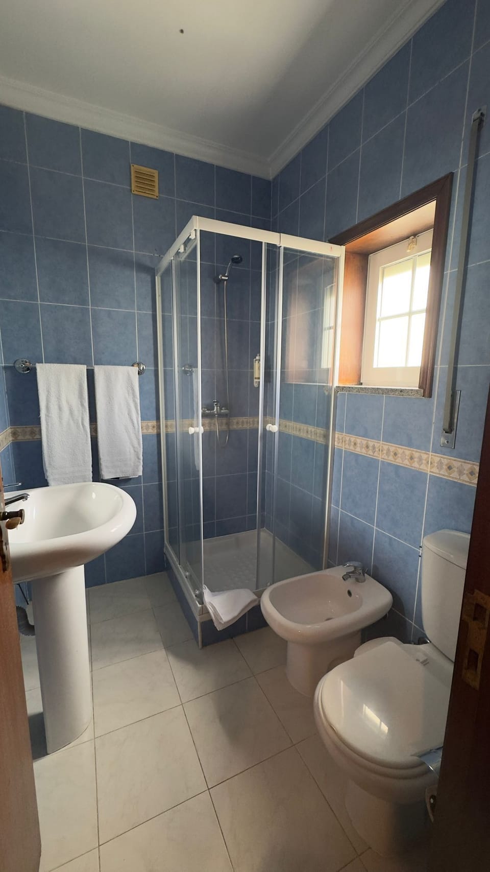 Hair dryer, bidet, towels, soap