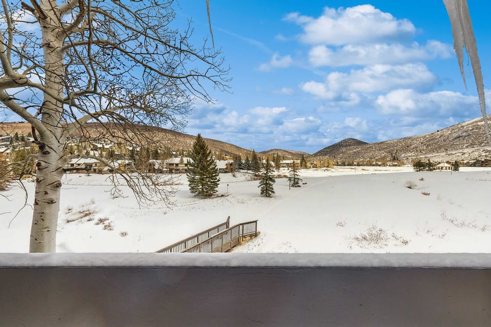 View from property