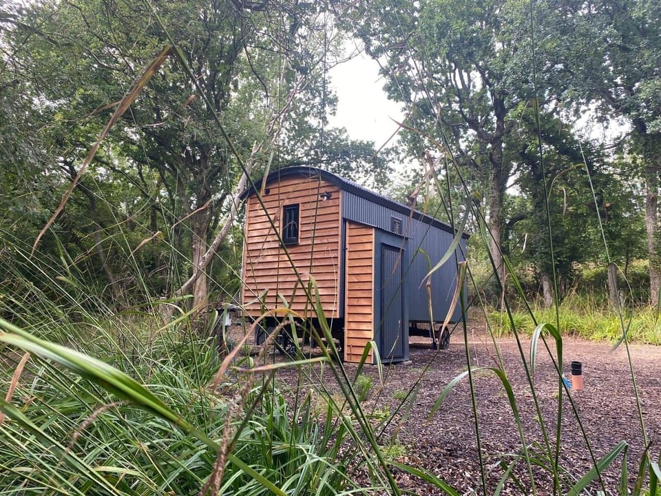Bluebell Wood Shepherd's Hut