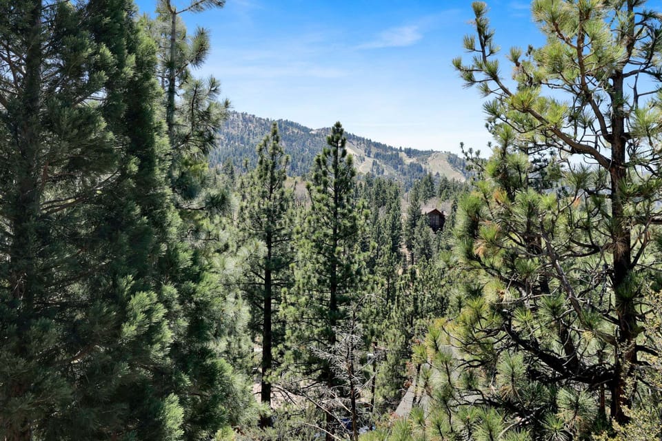 Scenic deck views of the mountains and pine trees, offering a peaceful setting to relax and enjoy nature.