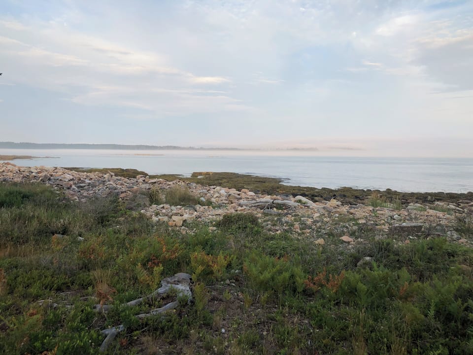 A misty morning view of Cranberry & low tide from the front deck