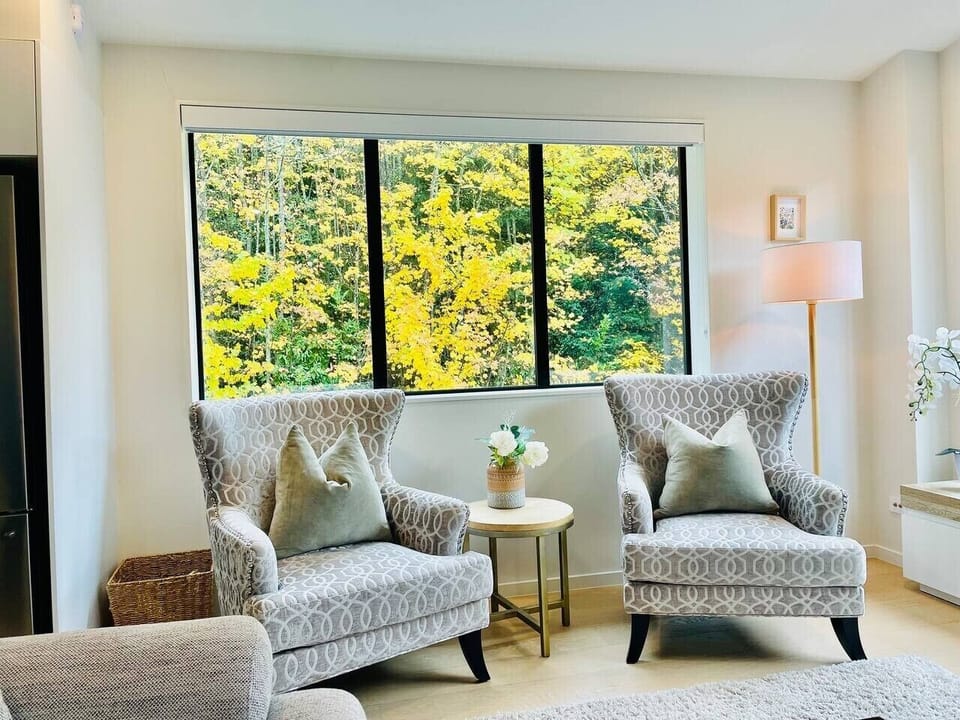 Amazing backdrop to the forest, lovely natural light
