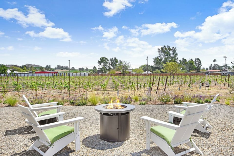 Fire pit with a vineyard view