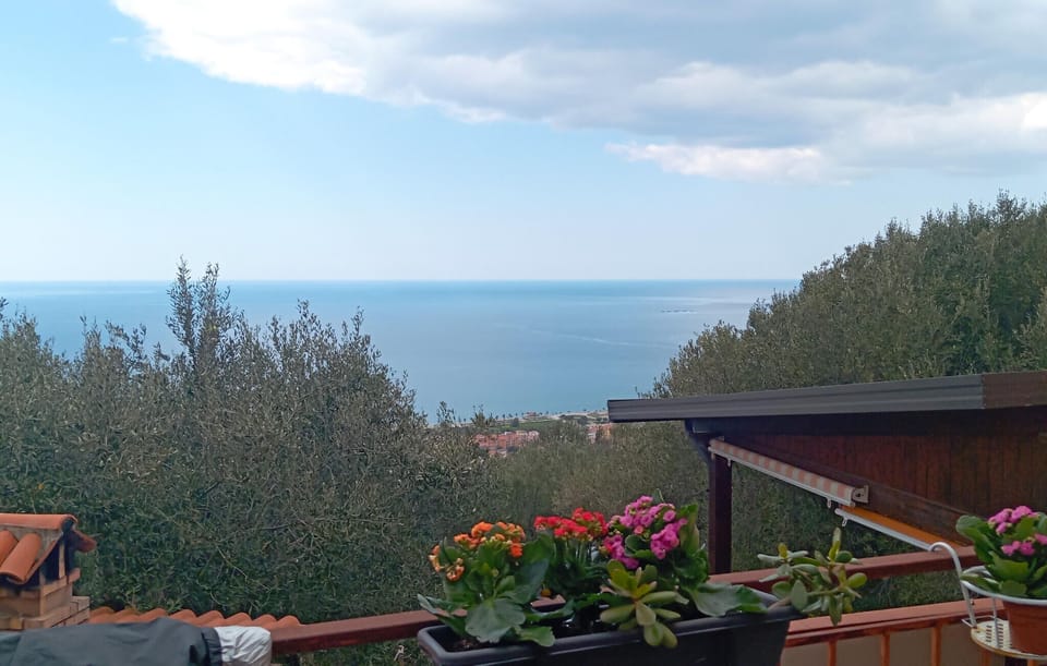 view-from-room