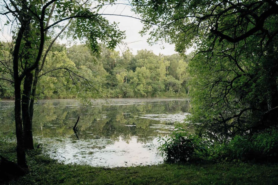 Access to Lake Taneycomo