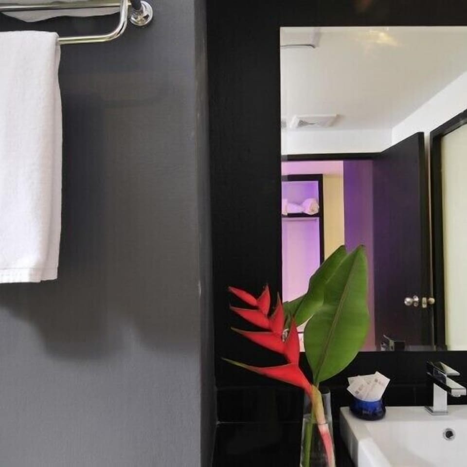 Shower, free toiletries, hair dryer (on request), towels
