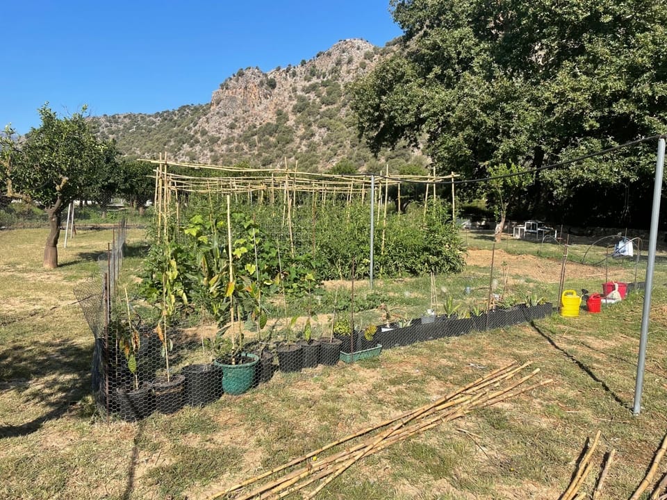 Fresh vegetables from the land. 