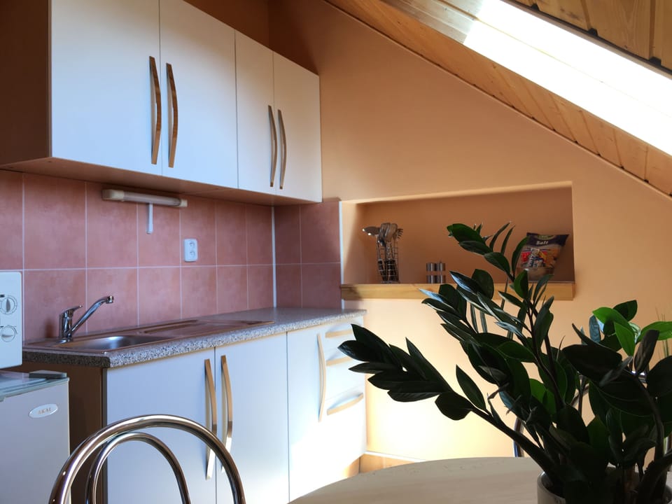 Deluxe Apartment | Private kitchen | Fridge