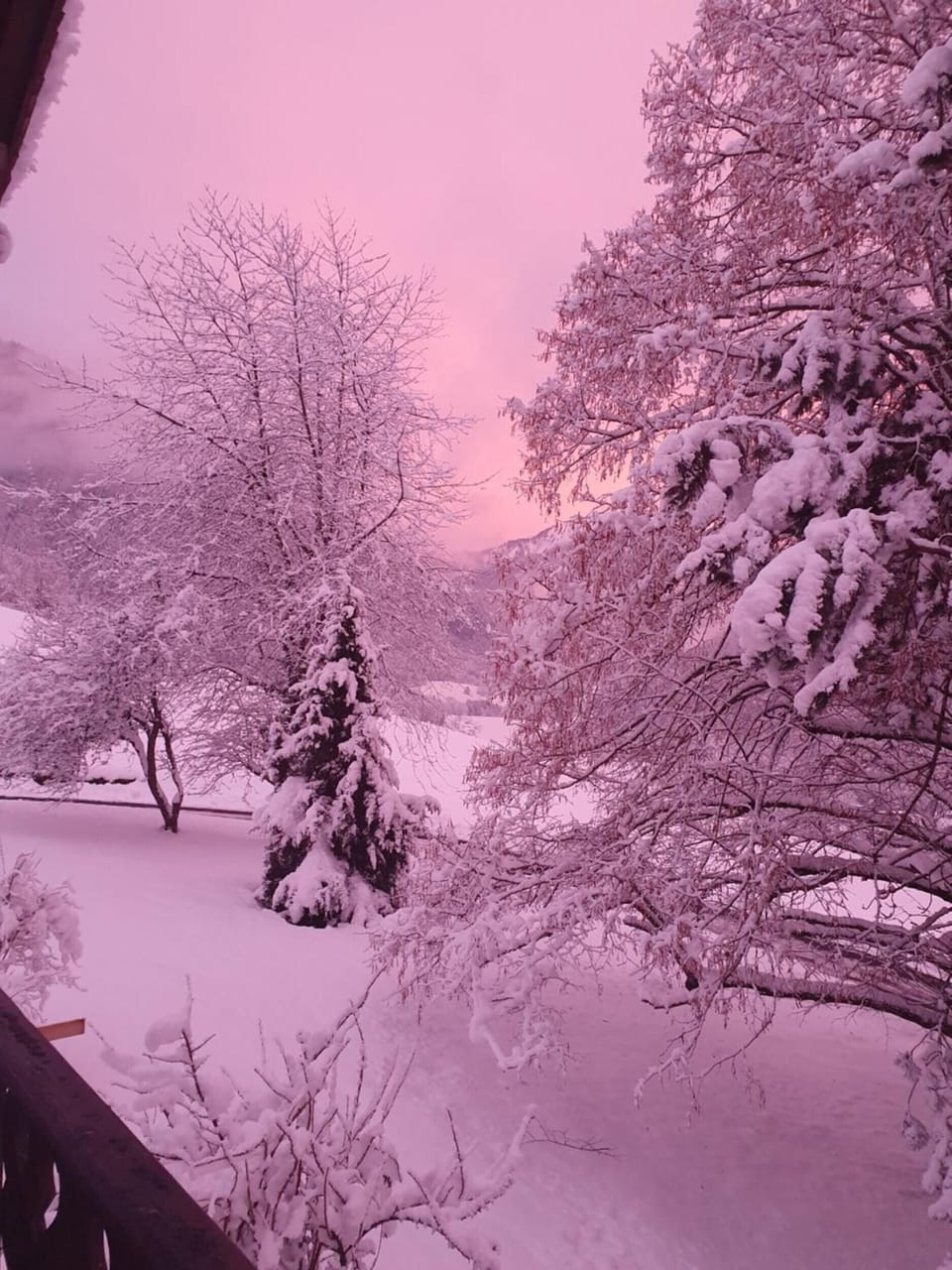 View from property