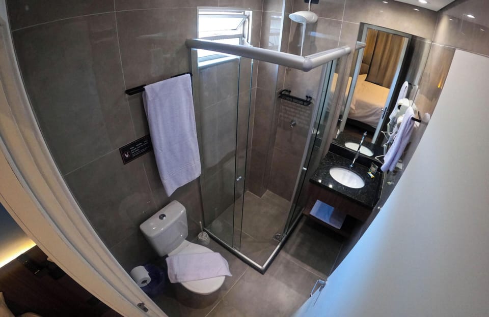Deluxe Double Room | Bathroom | Shower, free toiletries, hair dryer, towels