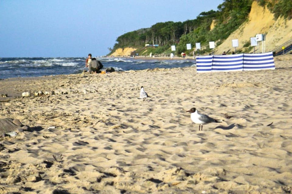 Surroundings [summer] (1-5 km)