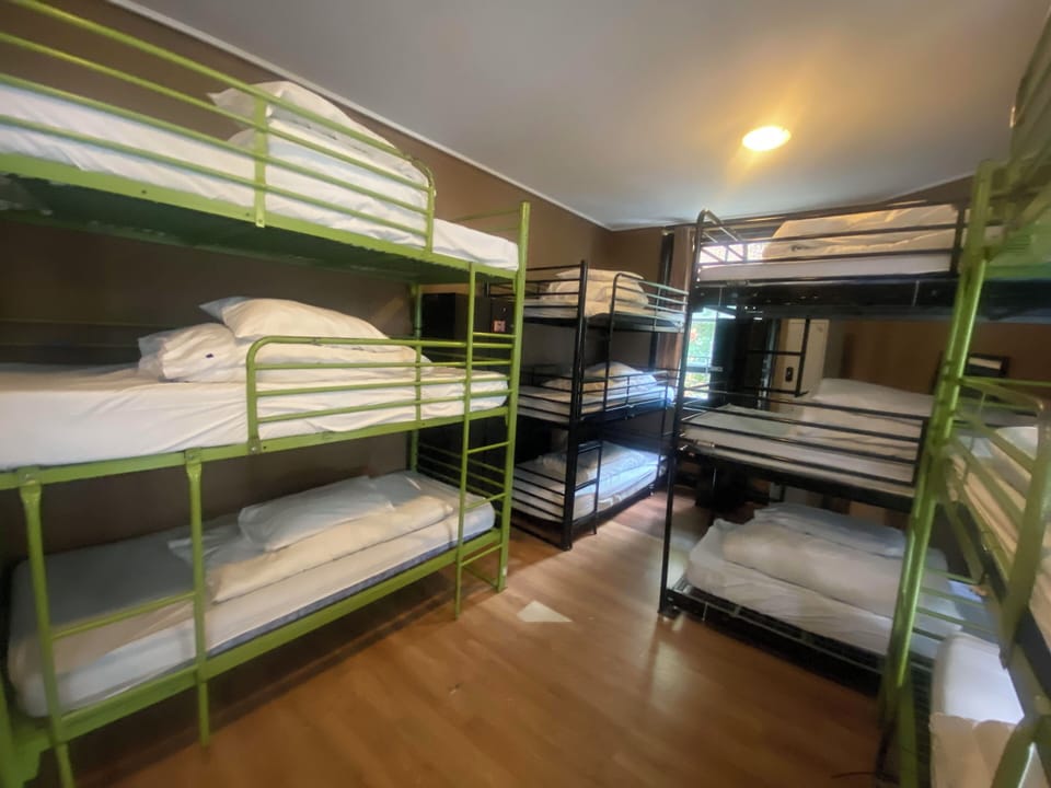 Basic Shared Dormitory, Mixed Dorm | In-room safe, iron/ironing board, free WiFi, bed sheets