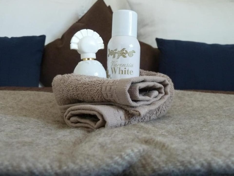 Shower, hair dryer, slippers, towels