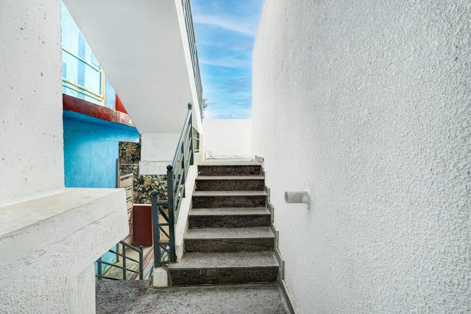 House | Property grounds