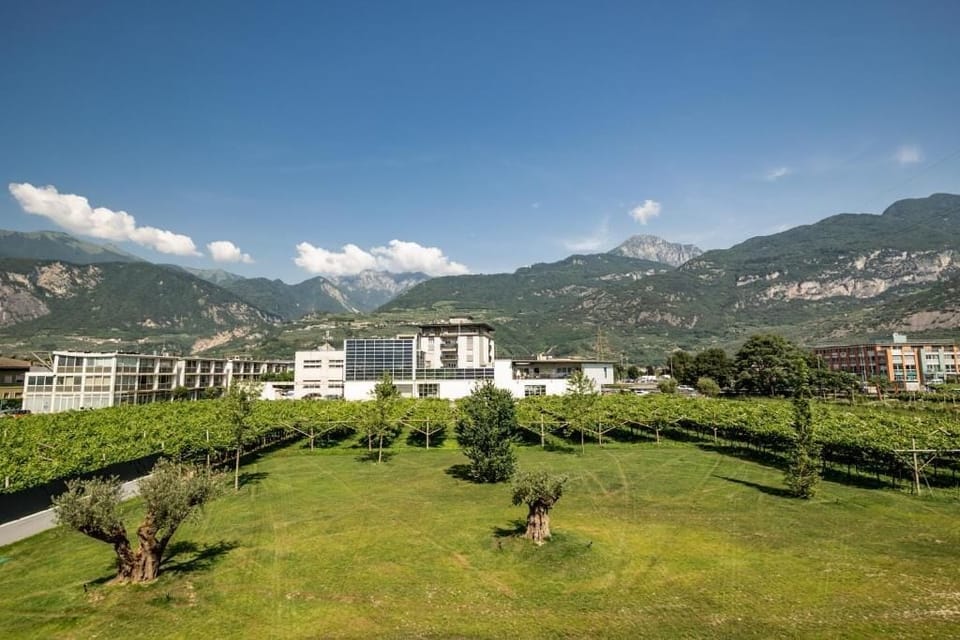Romantic Room, 1 Bedroom, Mountain View | Miscellaneous