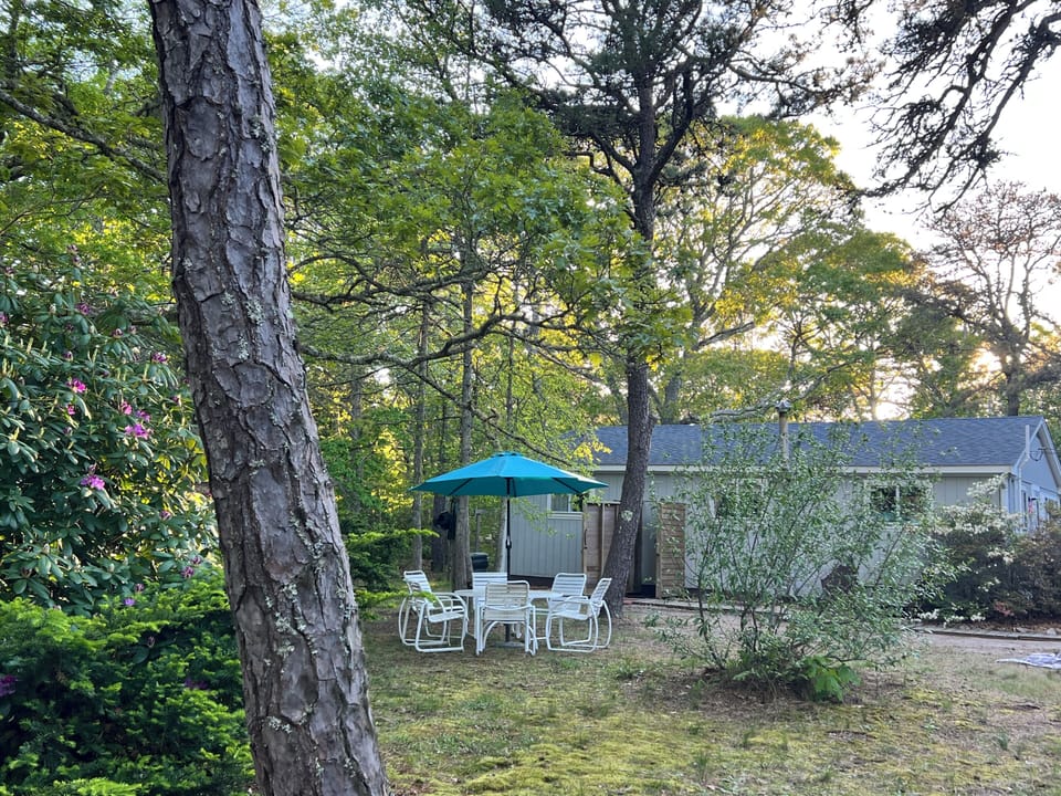 Your private outdoor dining space awaits beneath mature trees, where you can savor meals under the shade of your teal umbrella.