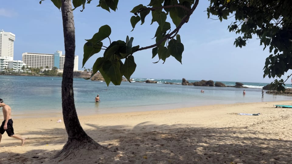 Beach