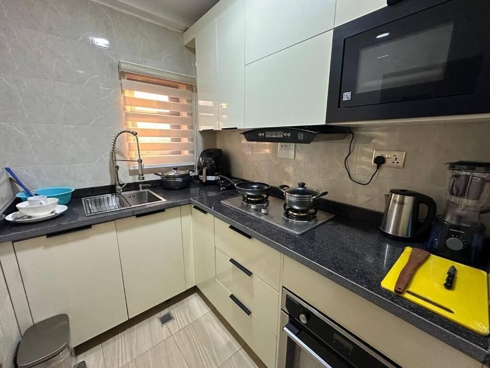 Deluxe Apartment, Balcony, City View | Private kitchen | Fridge, microwave, oven, stovetop