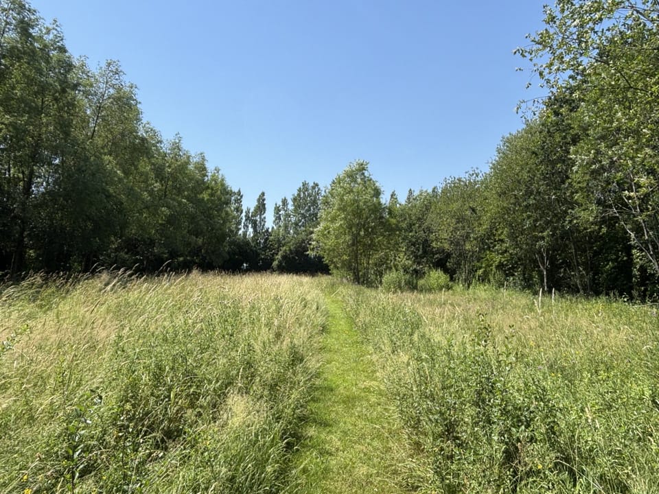 Amy's Cottage, Alweston, Sherborne: Plenty to explore