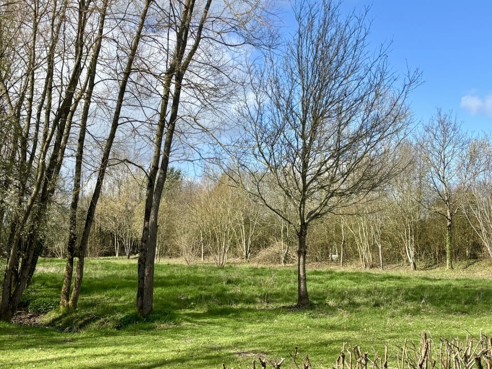 Amy's Cottage, Alweston, Sherborne: Explore the wildflower meadow and tree-lined hollows in the extensive garden
