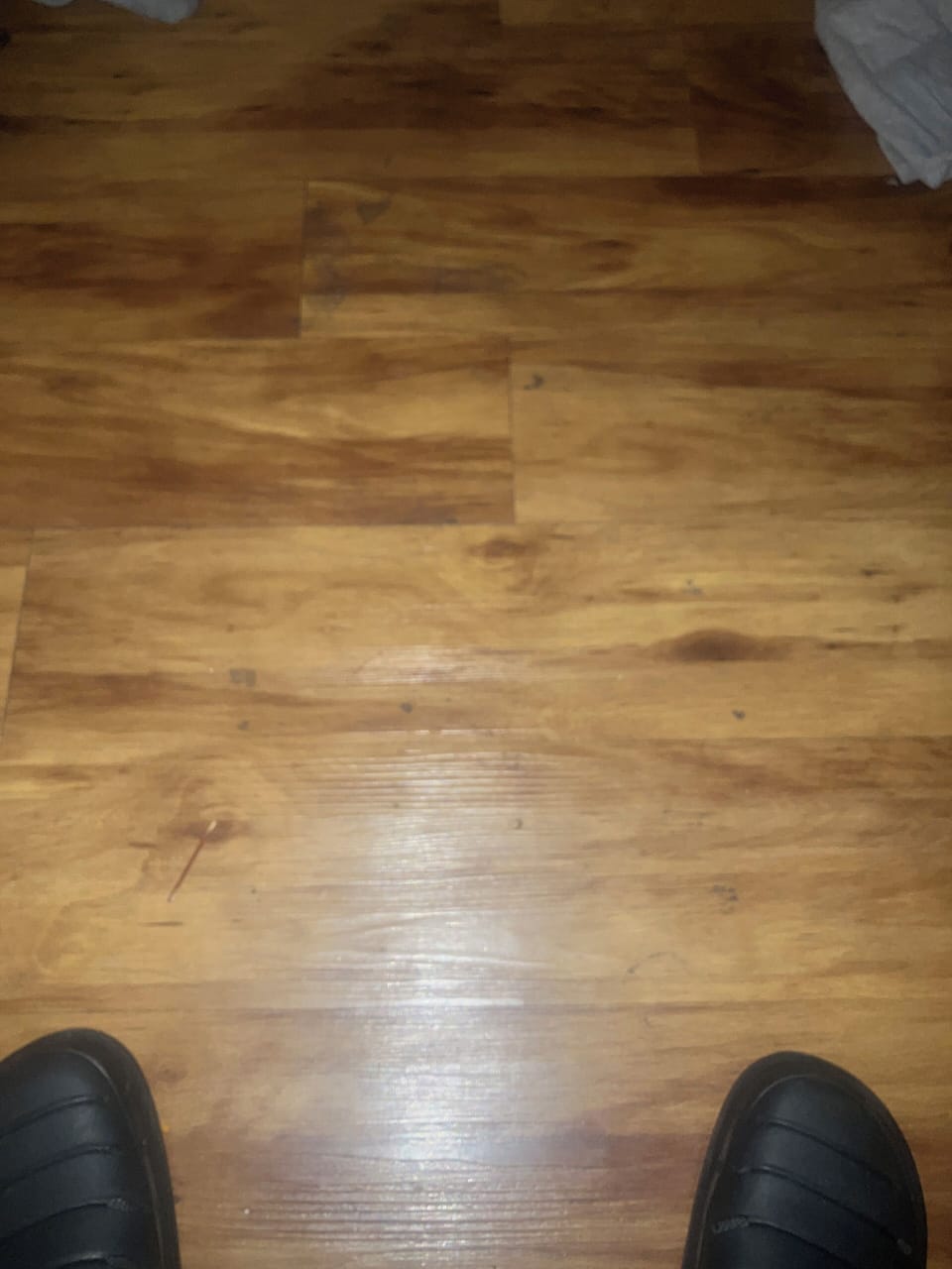 Miscellaneous