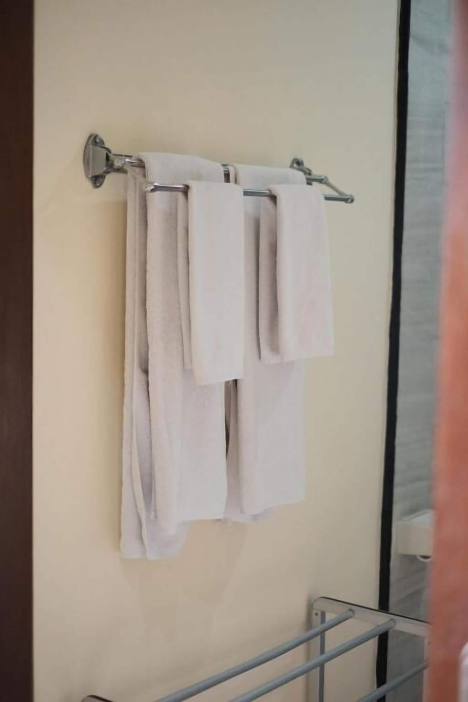 Deluxe Twin Room, Balcony, Garden View | Miscellaneous