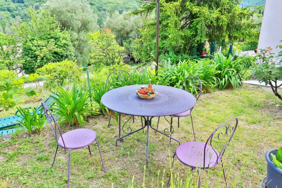Garden [summer]