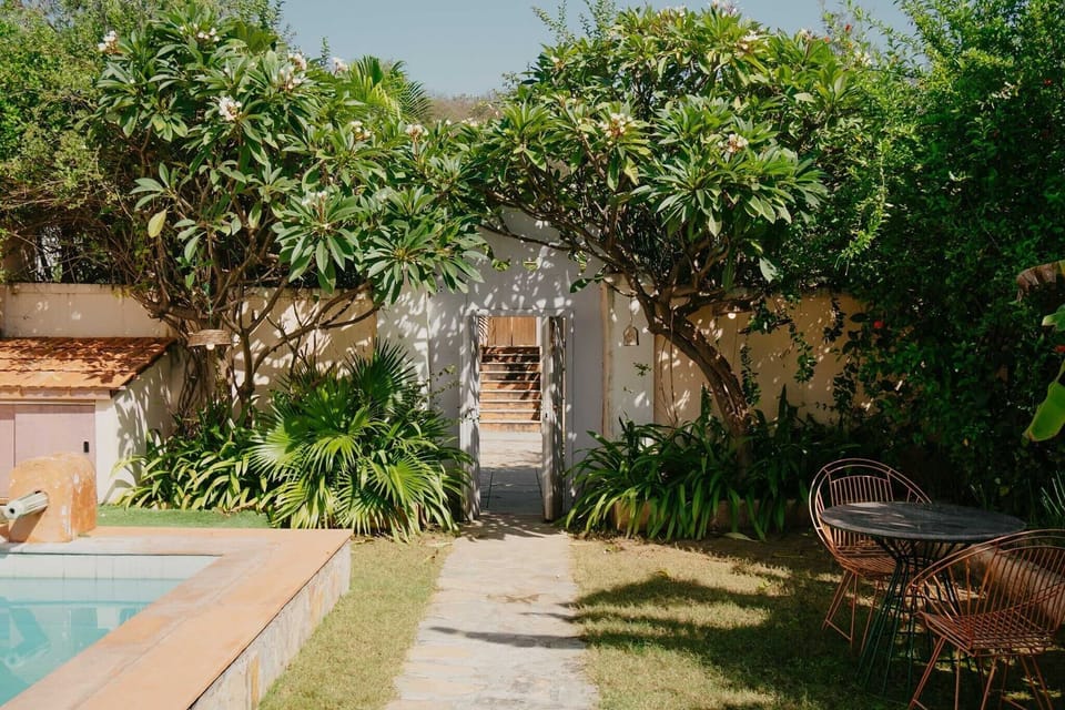 Garden [summer]
