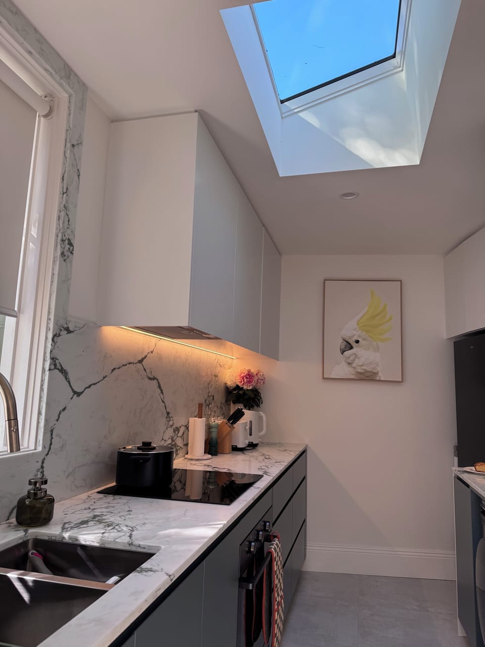 A sleek, modern kitchen blending functional elegance with charming local character.