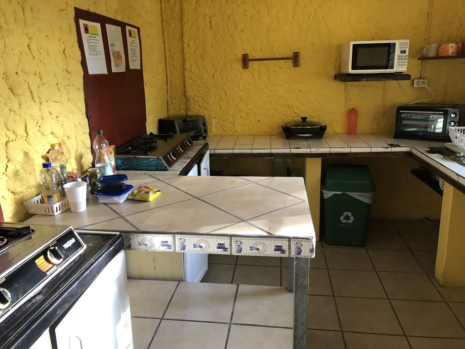Double Room (No Air Conditioning) | Shared kitchen | Fridge
