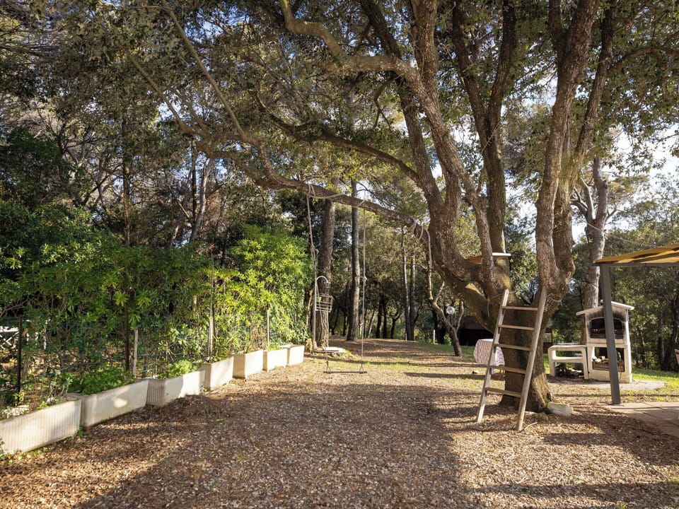Tree, Vegetation, Shrub, Architecture, House, Landscape, Home, Rural Area, Plant Community, Estate