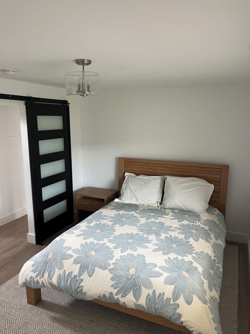 Lower level bedroom, queen bed