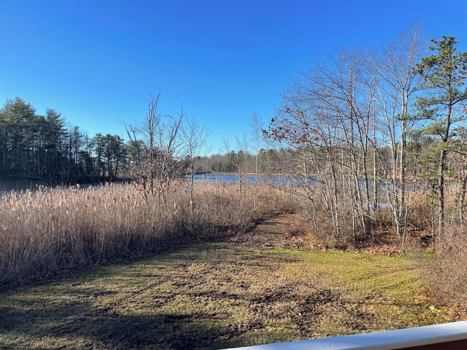 View from property