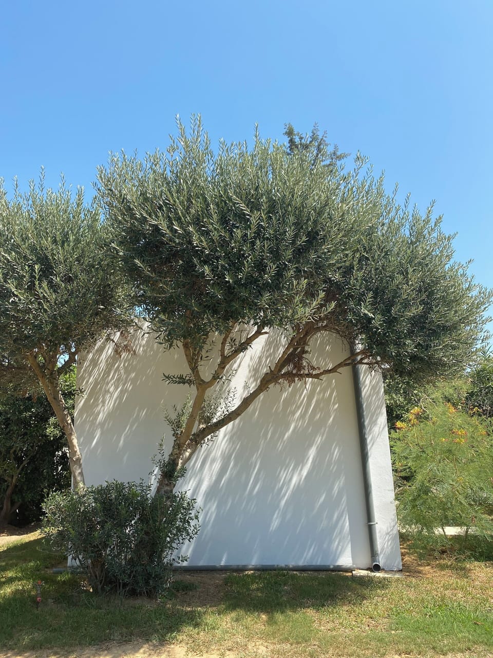 Standard Studio Suite, Garden View | Miscellaneous