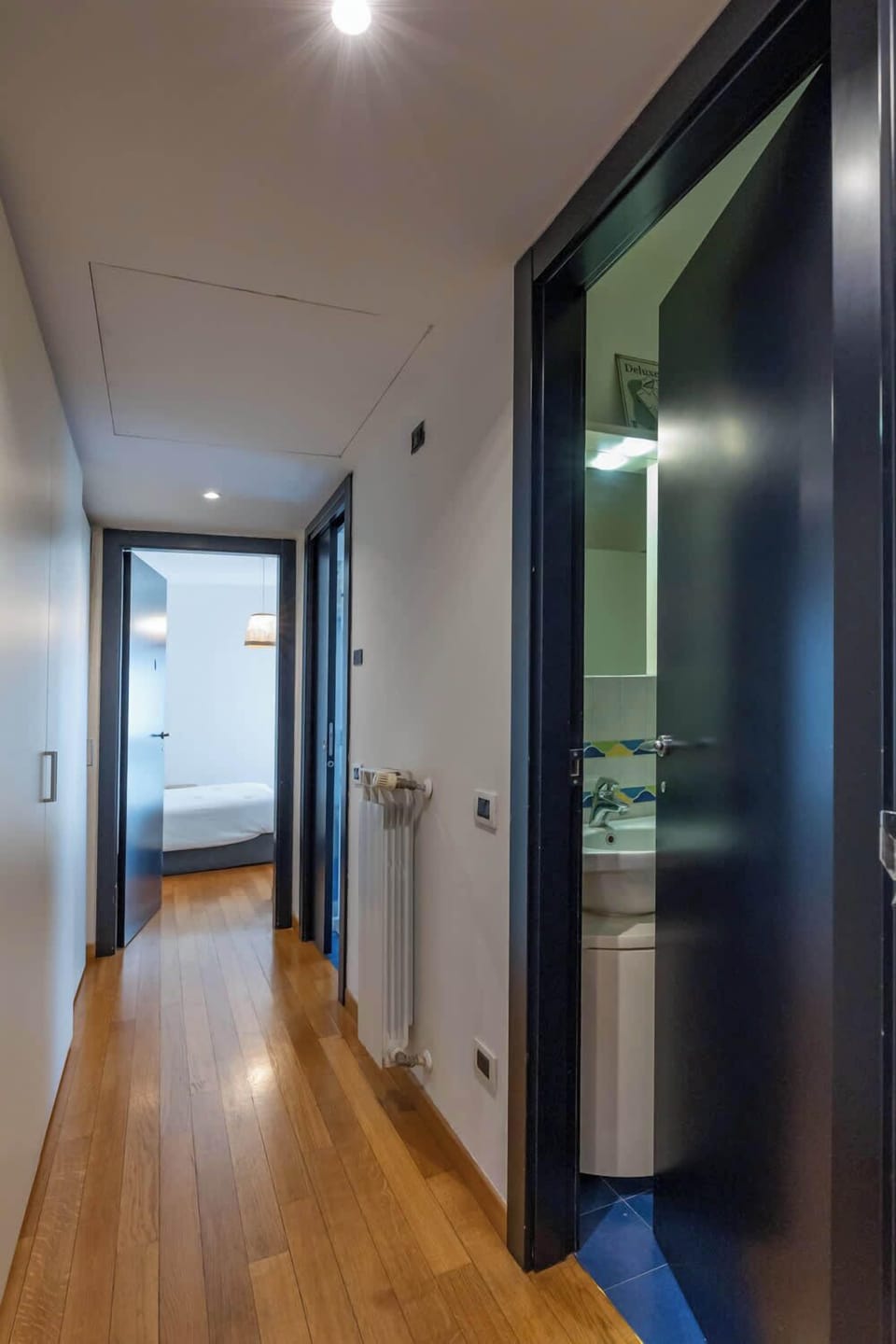 Entrance hallway leading into the apartment