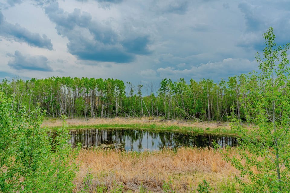 Private Lake/Pond on the property