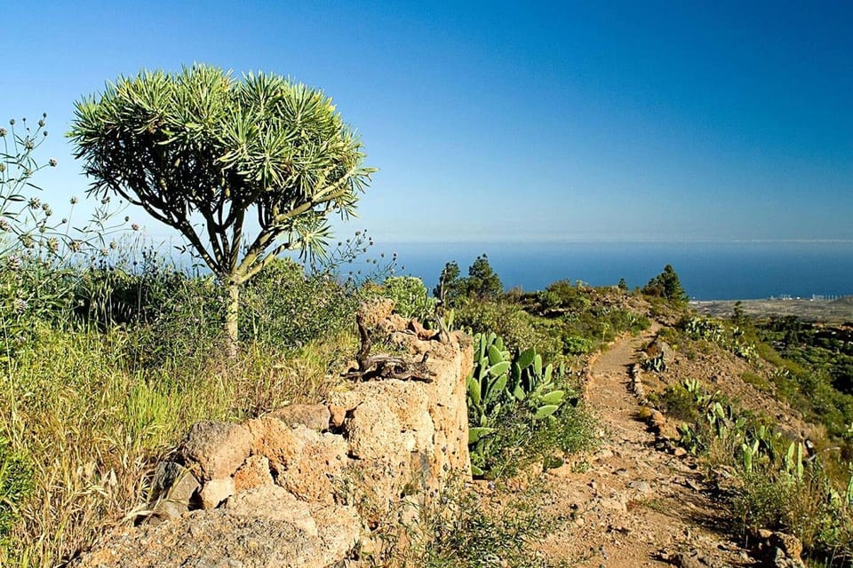 Surroundings [summer] (1-5 km)