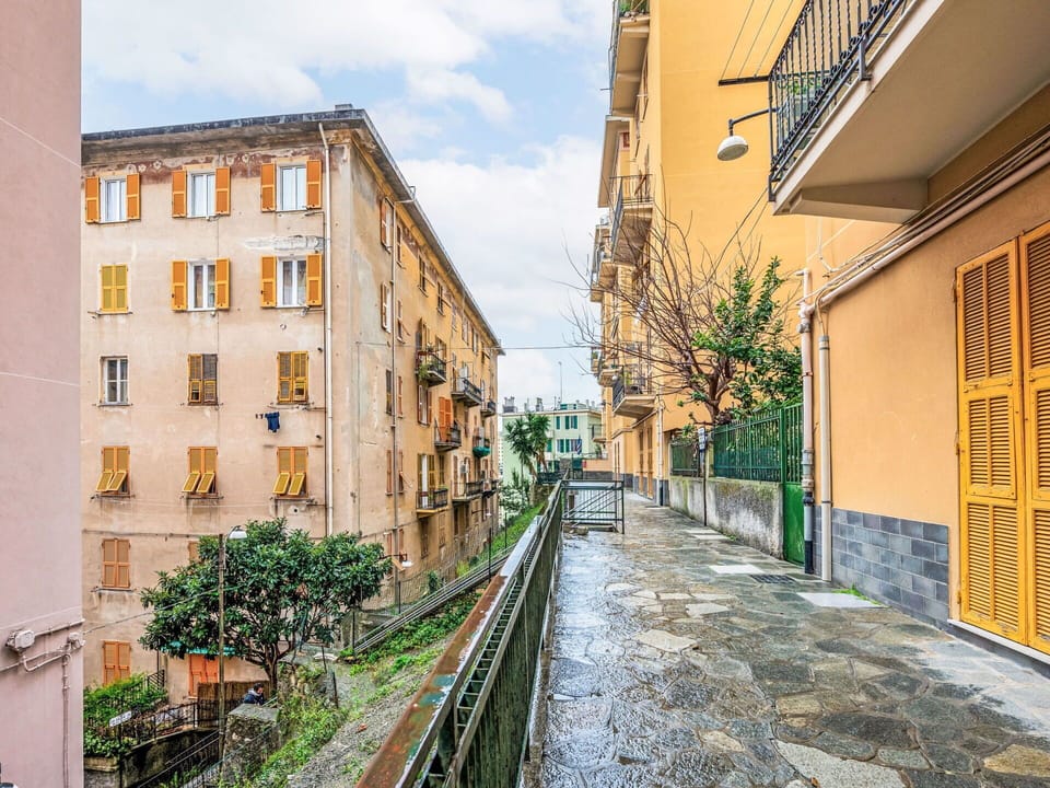 Shrub, Residential Area, Urban Design, Garden, Apartment, Hedge, Groundcover, Hacienda, Balcony, Estate